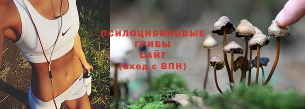 PSILOCYBIN Верея