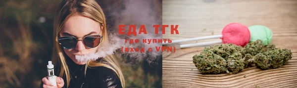 индика Волоколамск