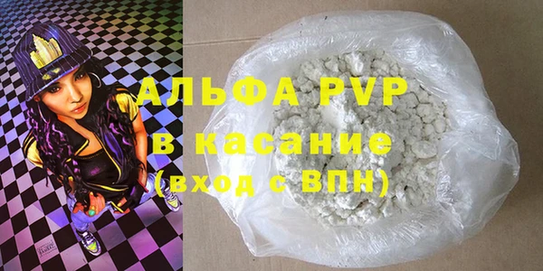 индика Волоколамск