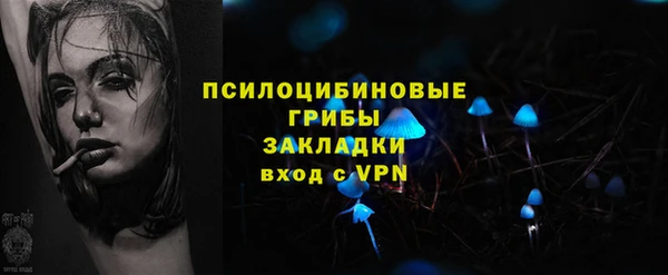PSILOCYBIN Верея