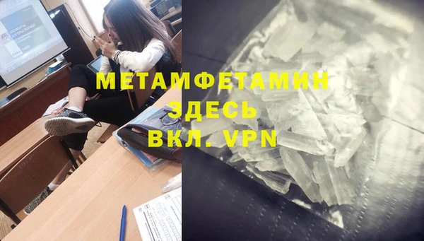 индика Волоколамск
