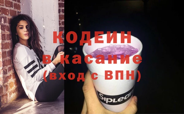 индика Волоколамск