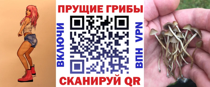 хочу   Майкоп  Галлюциногенные грибы мицелий 